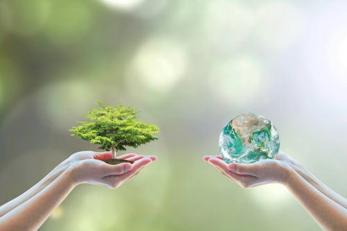 Un ciclo di seminari nelle scuole su ambiente e benessere