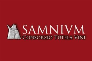 UN CORSO PER AGENTI VIGILATORI DEL SANNIO CONSORZIO TUTELA VINI