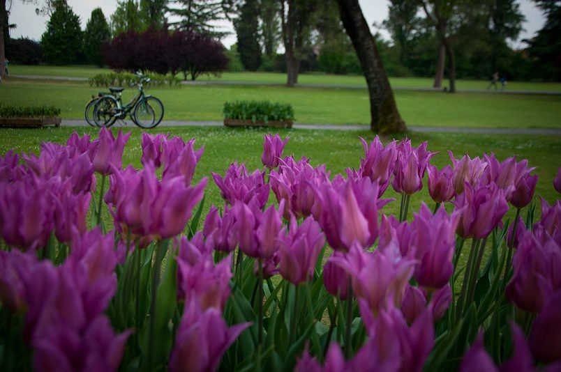 UN WEEK END DI PICNIC E PASSEGGIATE