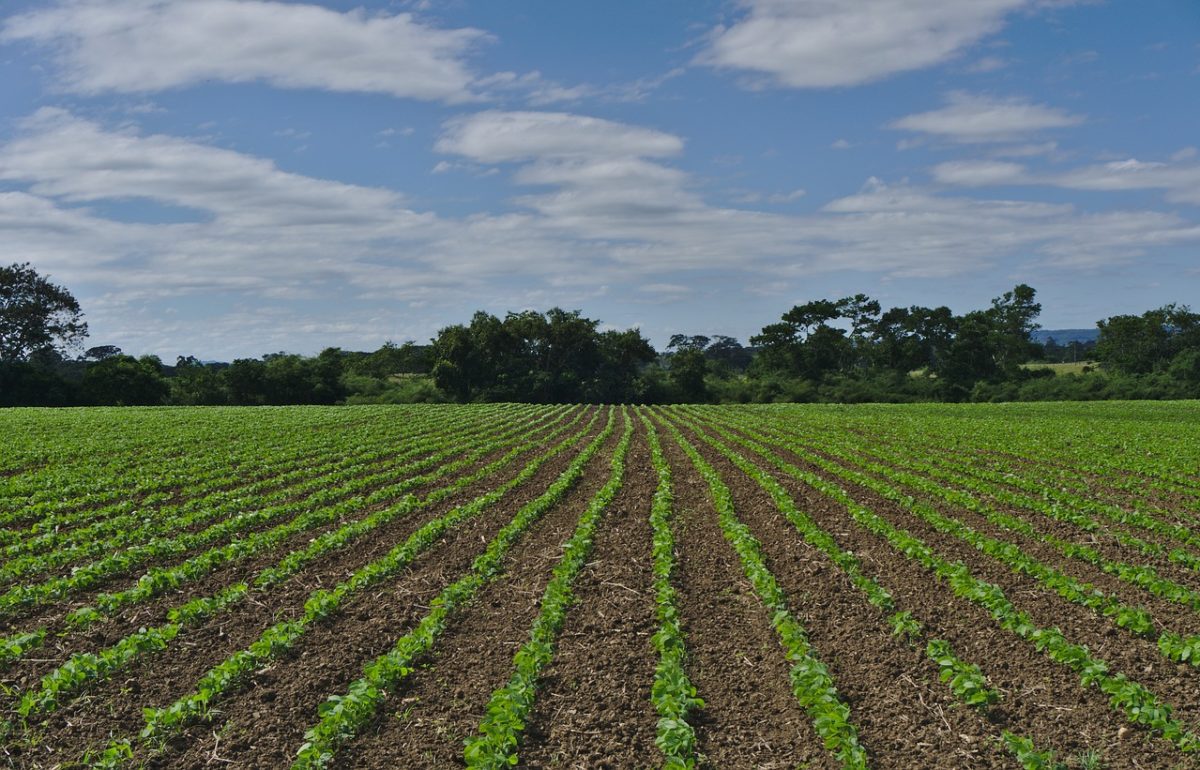 Una giornata di studi su agricoltura e tutela ambientale