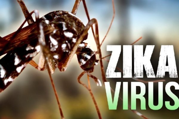 Zika è ormai presente in 42 Paesi nel mondo