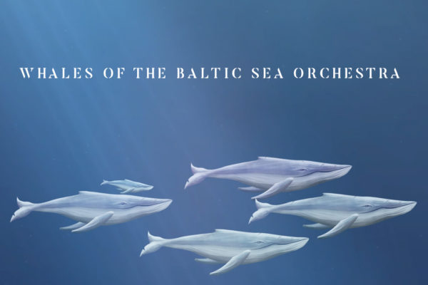 Whales of the Baltic Sea Orchestra