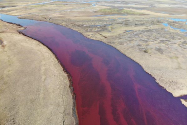 disastro ambientale putin siberia