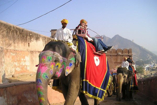 elefante in India