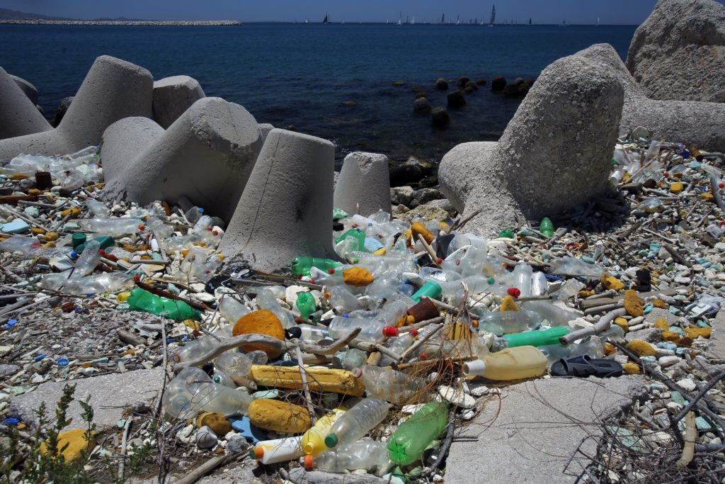 Il "Self Tour Plastic Free" del WWF