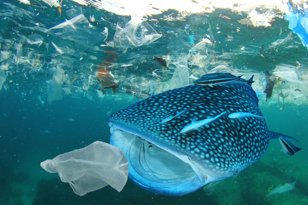 Il "Self Tour Plastic Free" del WWF