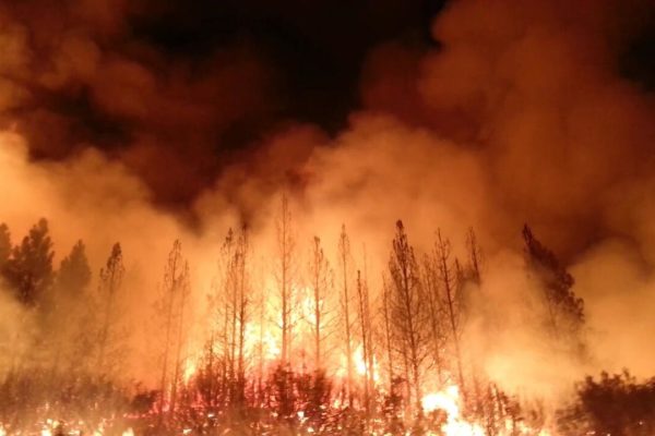 Gli incendi nell'Oregon, Washington e Portland: l'emergenza cresce