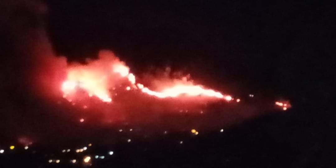 Stato calamità sicilia incendiStato calamità sicilia incendi