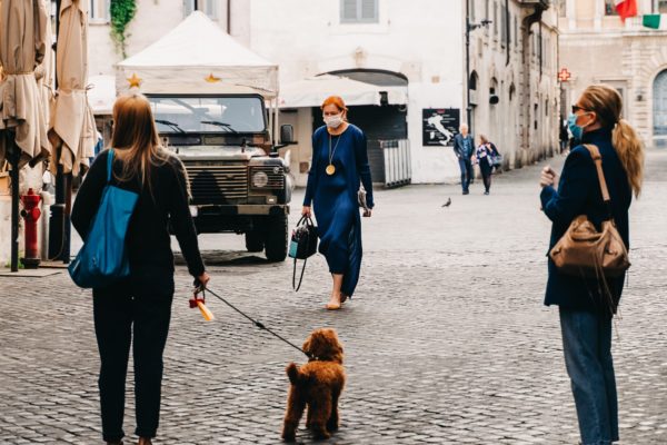 Cani: che ruolo hanno nella pandemia da Covid-19?