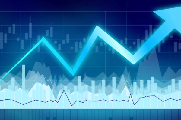 Il mercato mobiliare, la sua articolazione