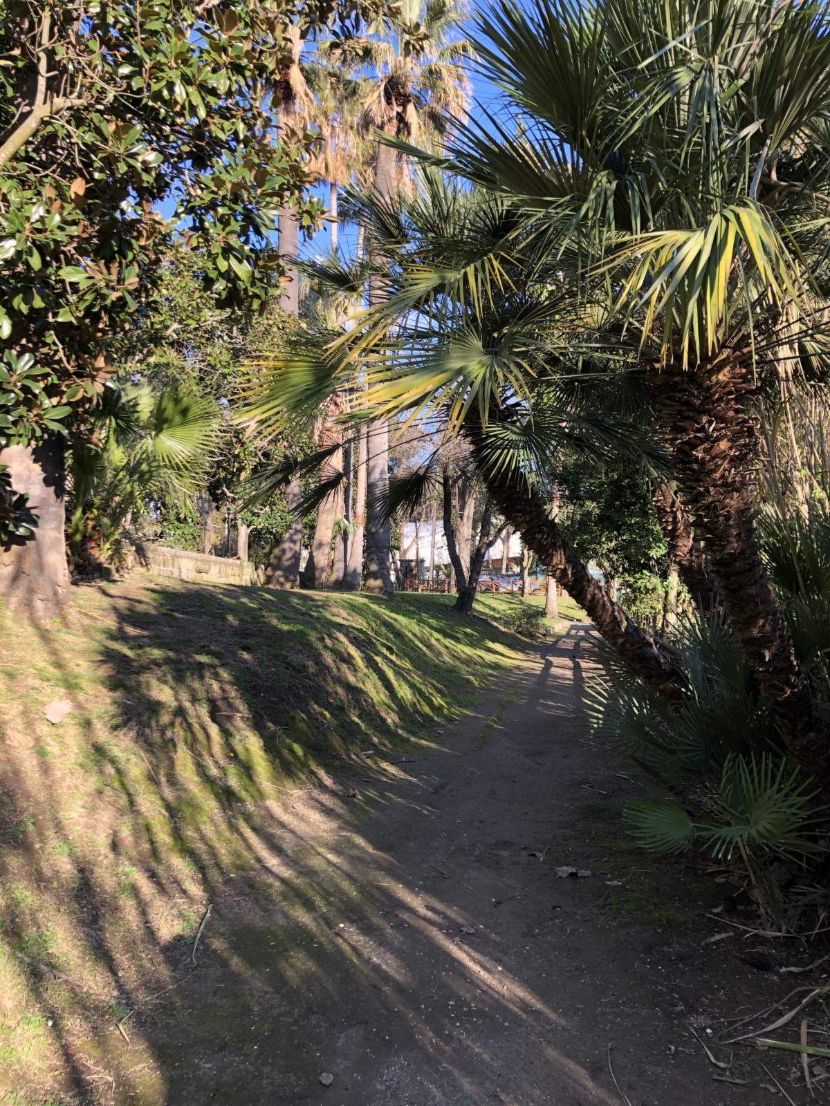 Allo Zoo di Napoli passeggiate nel verde tra vegetazione e animali