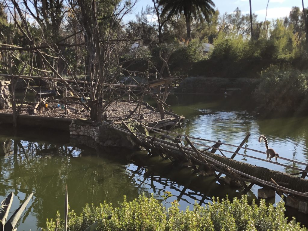 Allo Zoo di Napoli passeggiate nel verde tra vegetazione e animali