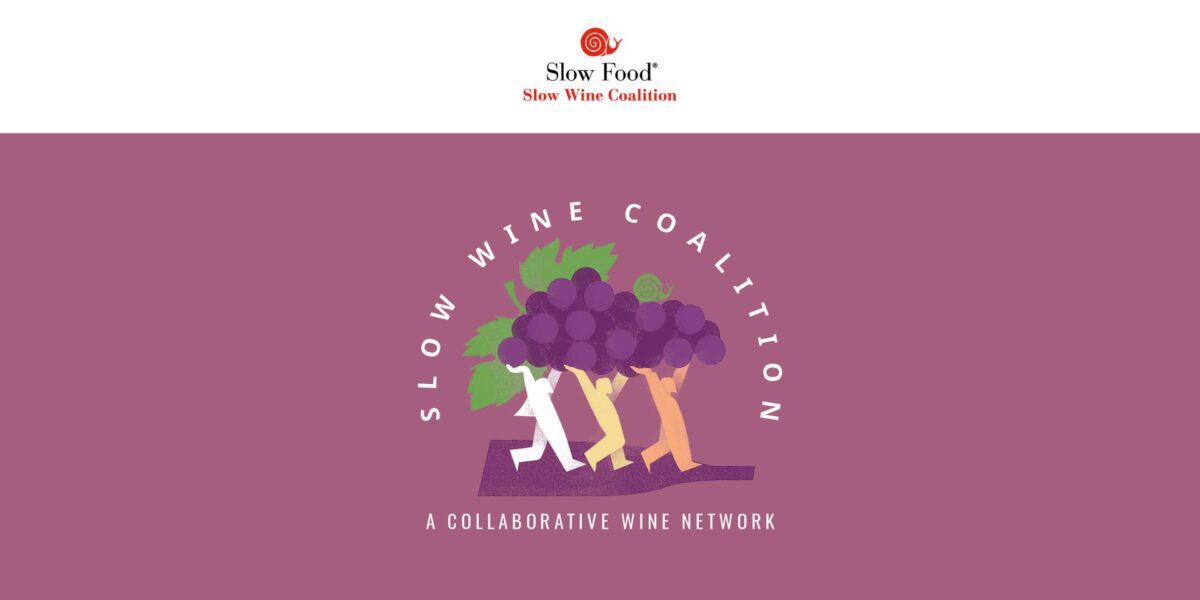 Slow Wine Coalition