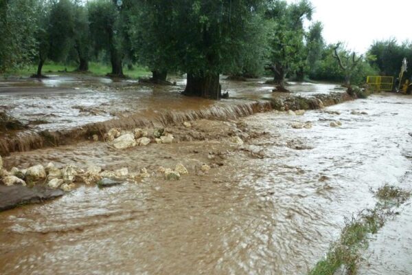 Alluvione nel foggiano, in poche ore la pioggia tipica di mezzo anno