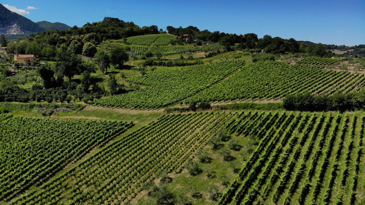 Bike Tour a Lapio nel borgo del fiano tra i vigneti irpini