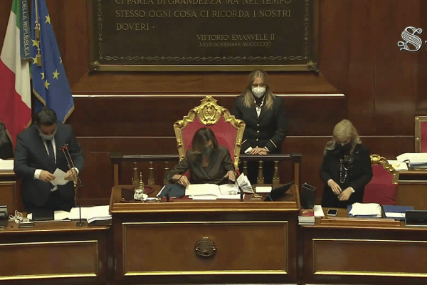 ddl zan esultanza senato