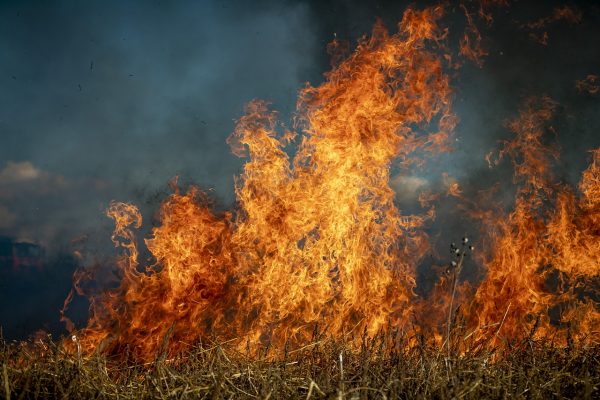 Emergenza incendi numero