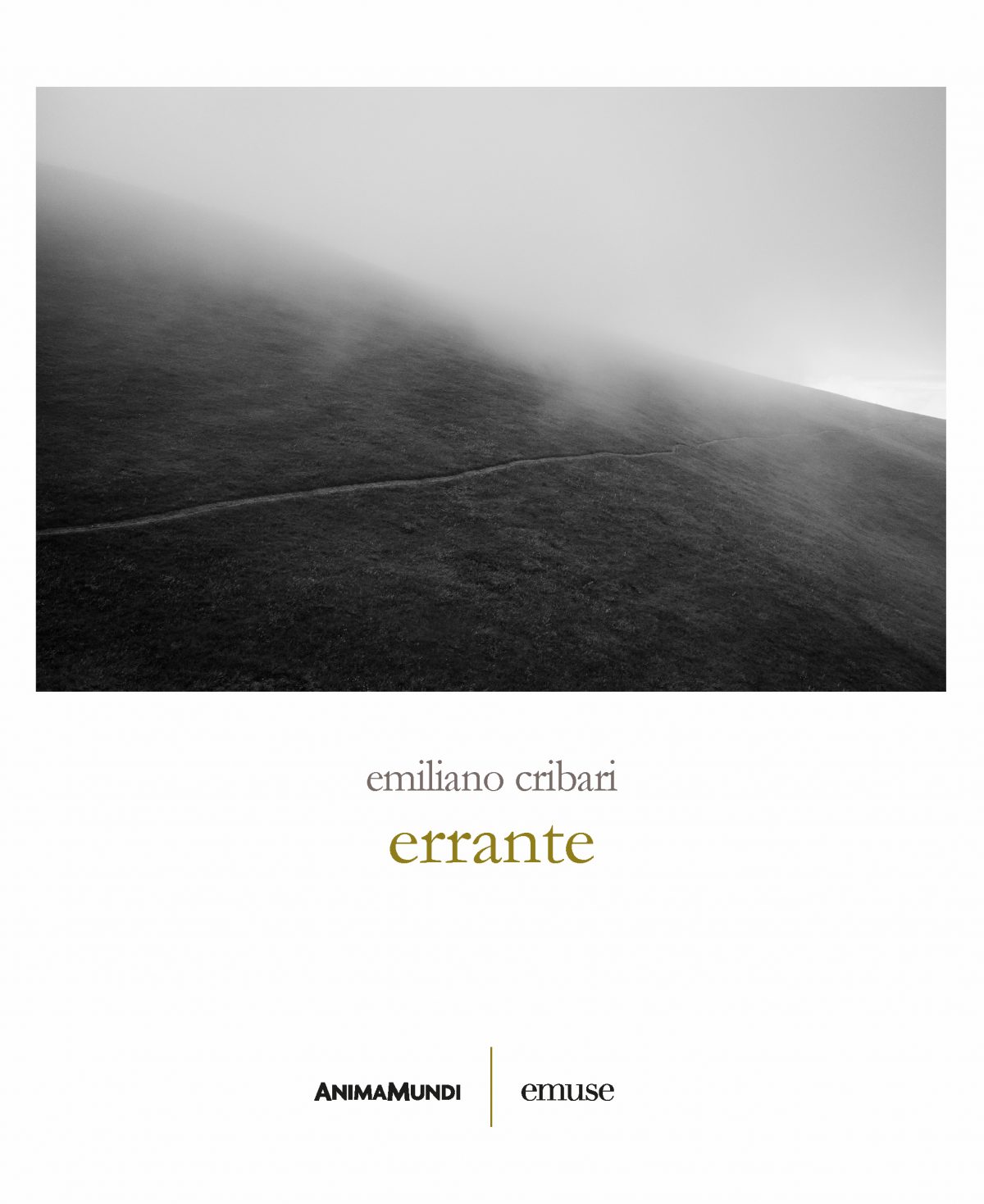 Errante di Emiliano Cribari 