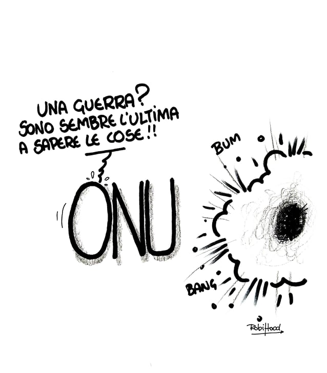 ONU, a che serve?