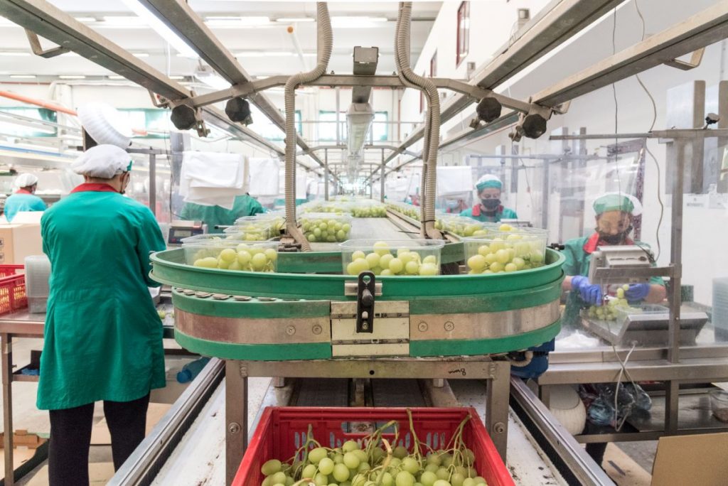 Donne e braccianti agricole: invisibili e sfruttate