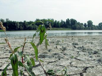 Giornata mondiale Ambiente, 28% Italia a rischio desertificazione: l'allarme