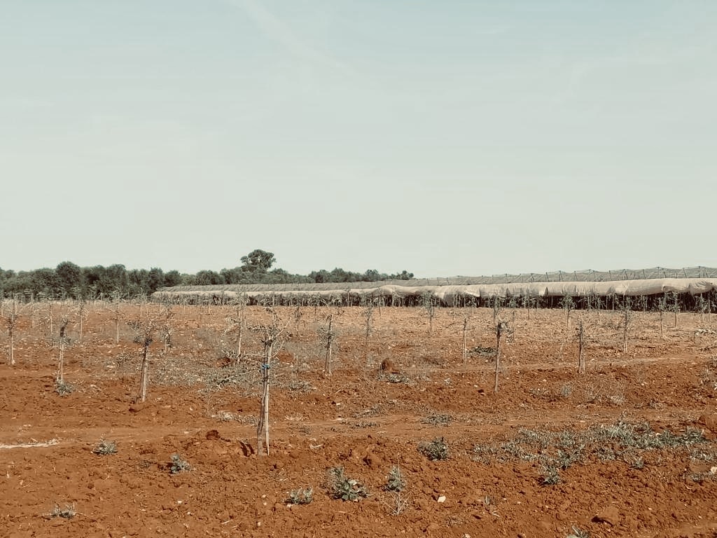 desertificazione in Italia