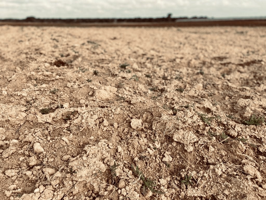 Desertificazione in Italia