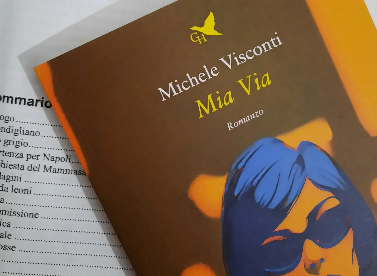 Mia Via l ultimo romanzo di Michele Visconti