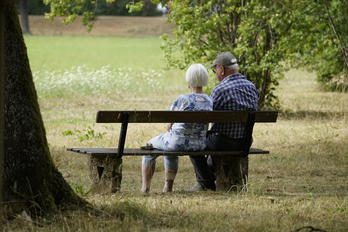 riforma pensioni 2024