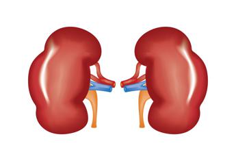 Malattia renale cronica in aumento, ne soffrono in oltre 800 milioni