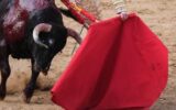 Il toro incorna il toreador, paura alla corrida