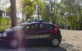 Varese, trovato cadavere in un bosco a Luino: nessuna pista esclusa