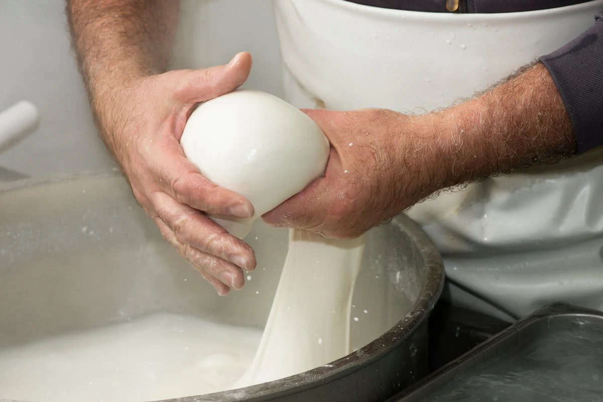 mozzarella di bufala