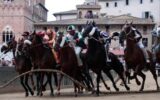 Palio di Siena, la Contrada dell'Onda vince la prova generale