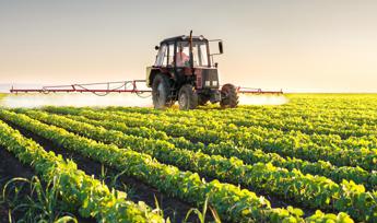 Osservatorio Enpaia-Censis del mondo agricolo, 70% degli italiani è favorevole a lavorare oltre all'età del pensionamento