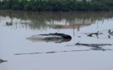 Alluvione Valencia, cos'è la Dana la 'goccia fredda' che ha travolto la Spagna