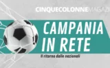 Campania in rete