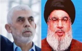 Hamas e Hezbollah