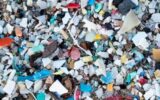 Microplastiche anche nel cervello, pari a un terzo di bottiglia