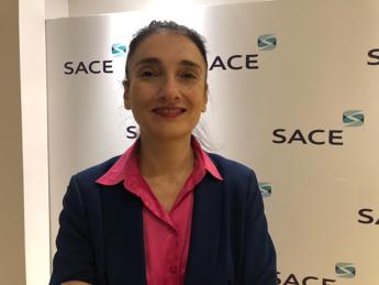 Ricci (Sace): "Crescente esposizione verso Africa, opportunità per nostre pmi"