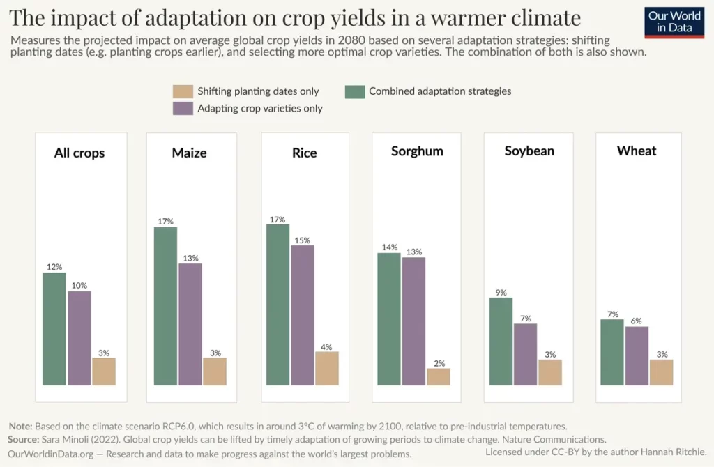 Il cambiamento climatico influenzerà la produzione alimentare?