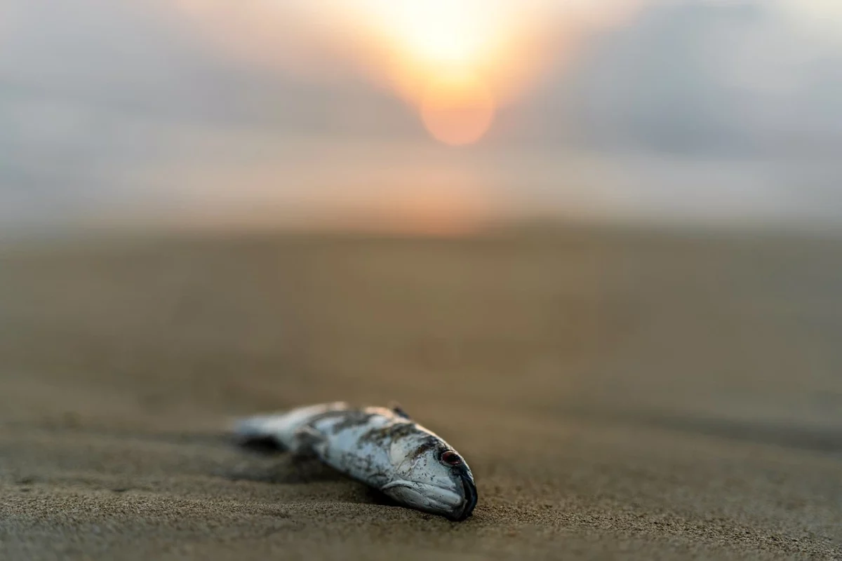 Le microplastiche nelle nuvole: nuovo fattore di cambiamento climatico?