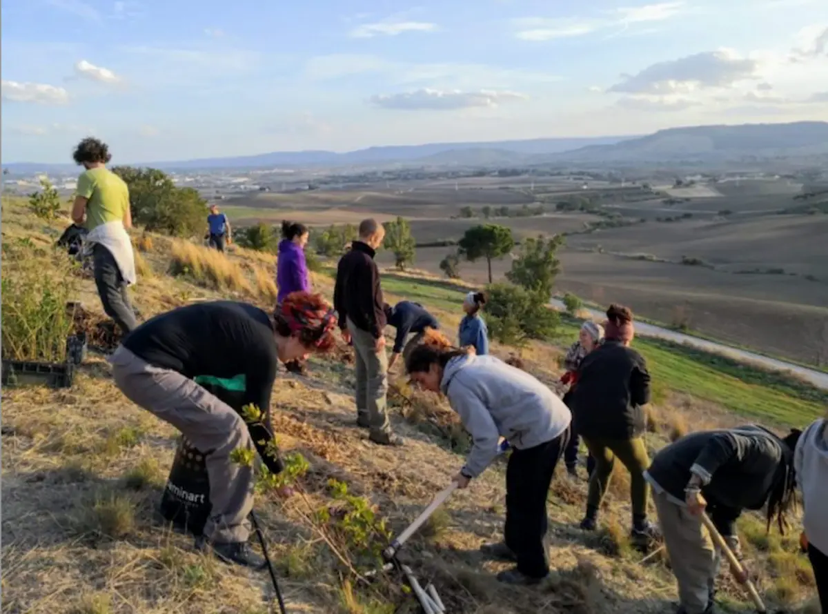 Progetto Challenge: mappate buone pratiche di transizione agroecologica