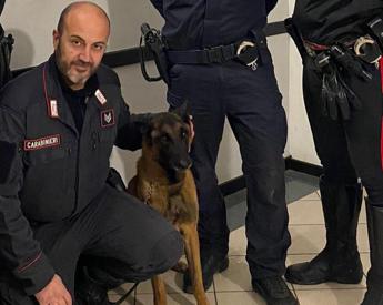 Omicidio Roberto Guerrisi, ritrovata l'arma del delitto grazie al fiuto del cane Cooper