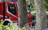 Roma, cade albero: morta una donna a Colli Aniene