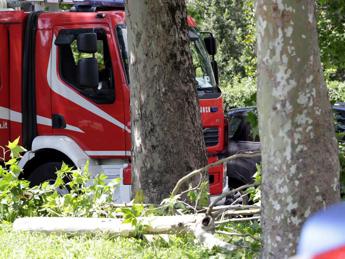 Roma, cade albero: morta una donna a Colli Aniene