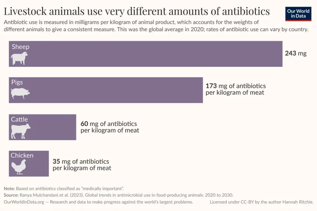 Antibiotici: l'uso eccessivo anche sul bestiame