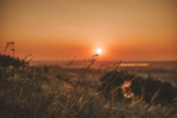 2024, l'anno più caldo mai registrato