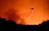 Los Angeles, incendio Palisades si allarga: ordine di evacuazione immediata