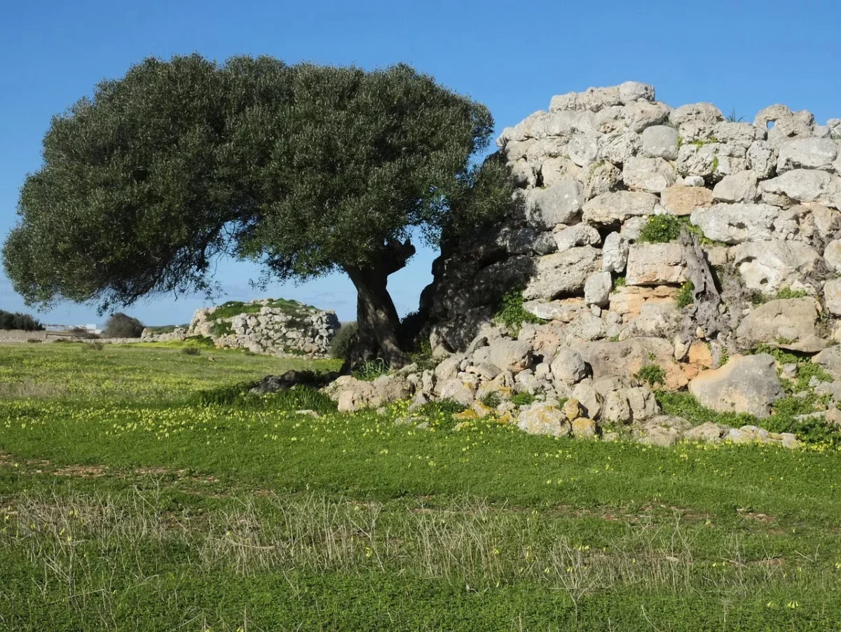 Villaggio preistorico di Nola: tesoro archeologico unico